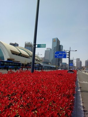 海濱大道與國(guó)展中心客運(yùn)站 連云區(qū)的交通樞紐