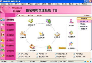 金商家T9服裝軟件 財務(wù)與行業(yè)管理ERP產(chǎn)品市場調(diào)查分析